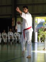 yeppoon dan grading 2010_08